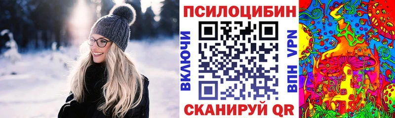 Галлюциногенные грибы Cubensis Грязовец